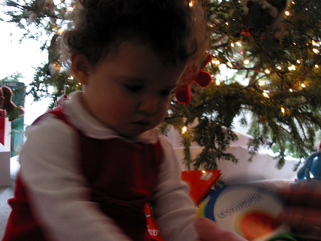 2003christmas011.JPG